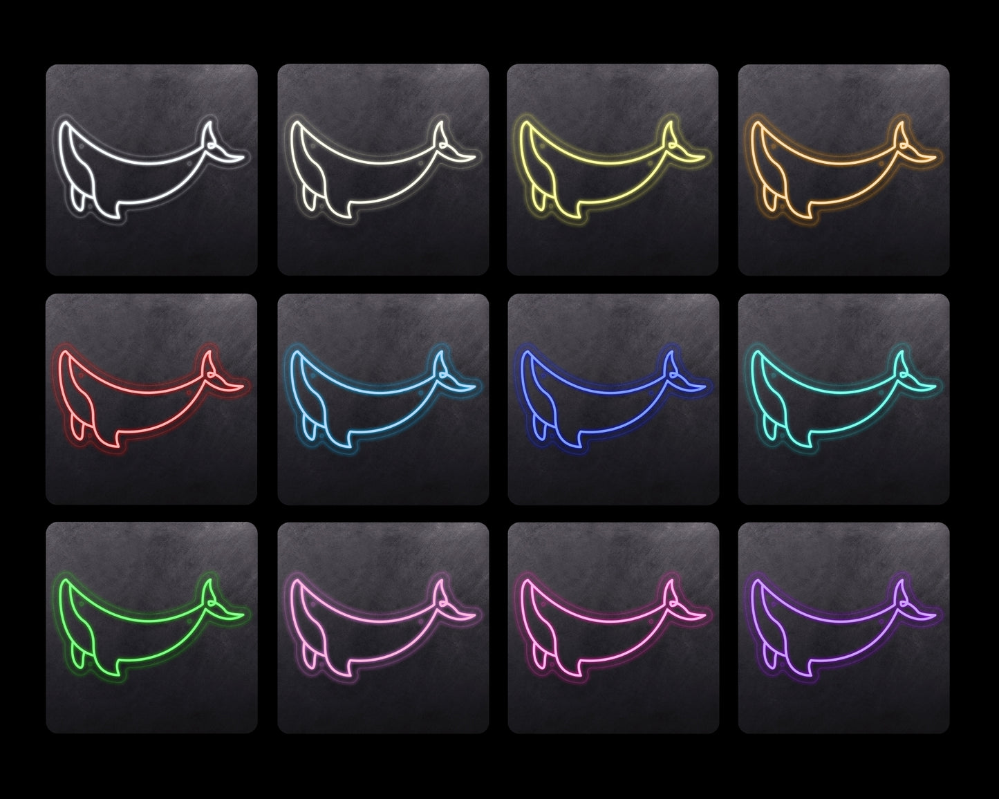 Whale