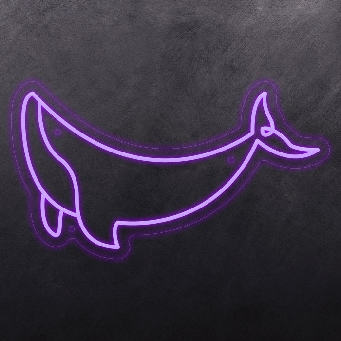 Whale